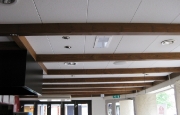 plafond-delifrance_0